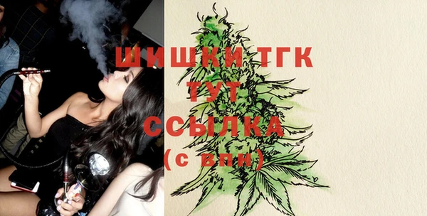прущий лед Щучье