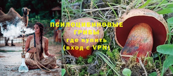 прущий лед Щучье